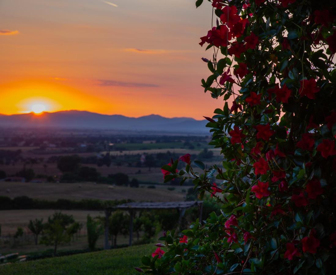 Podere N.8 Bio Casale Maremma Alberese Zewnętrze zdjęcie